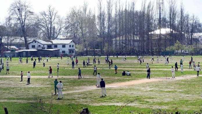 Representational photo of Russian poplars in Kashmir