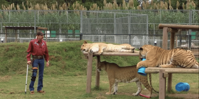 A still from Tiger King | YouTube|