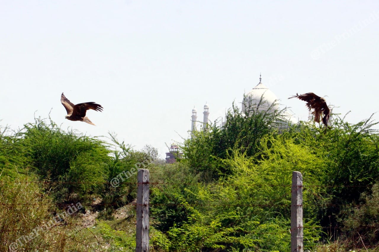 From the Taj corridor side | Photo: Praveen Jain | ThePrint