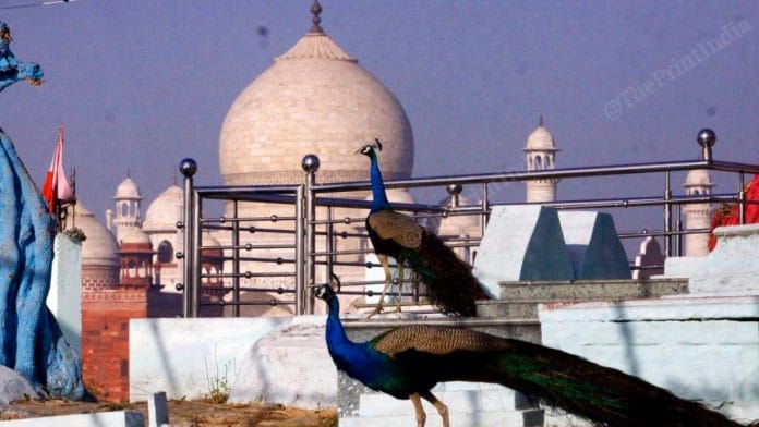 From the Dargah of Ahmed Bukhari | Photo: Praveen Jain | ThePrint