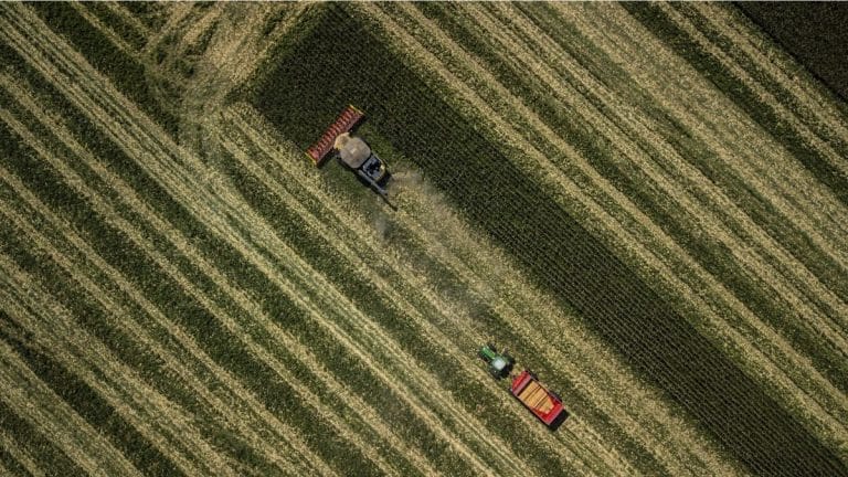 How satellites are helping track food supplies in coronavirus era