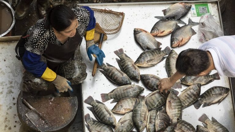 China’s wildlife trade was origin of Covid, scientists’ long-delayed report expected to show