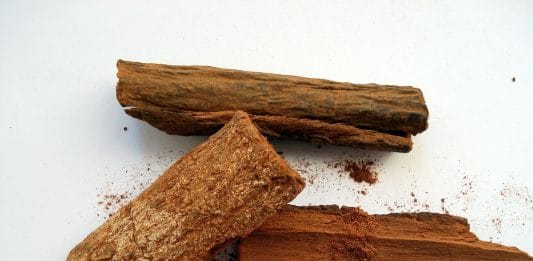 Bark of Cinchona tree is a natural source of quinine -- of which hydroxychloroquine is a synthetic derivative. Photo | Pixabay