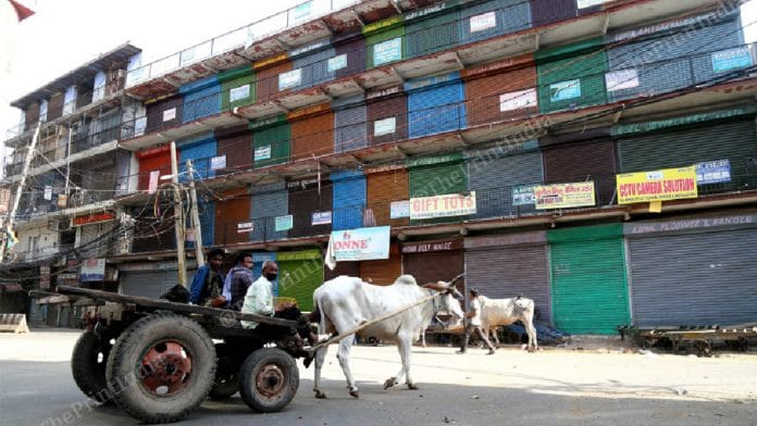 People on the bullock cart pass through a deserted road in Delhi's Sadar Bazar during the nationwide lockdown | Photo: Suraj Singh Bisht | ThePrint
