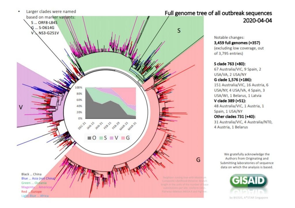 The major clades in SARS-CoV-2 virus | Credit: GISAID