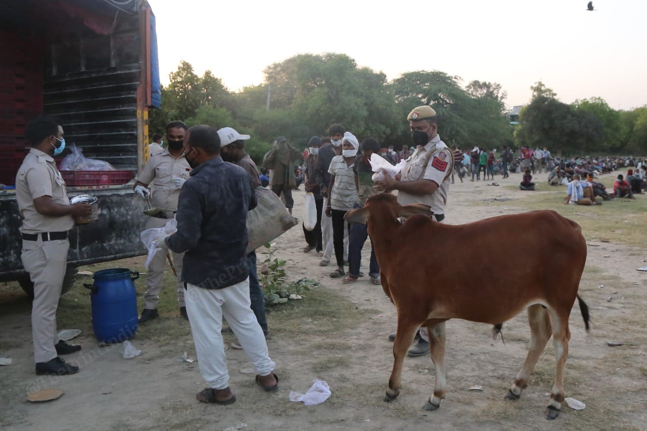 People stand in queue for food provided by the Delhi Police. | Photo: Manisha Mondal/ThePrint 