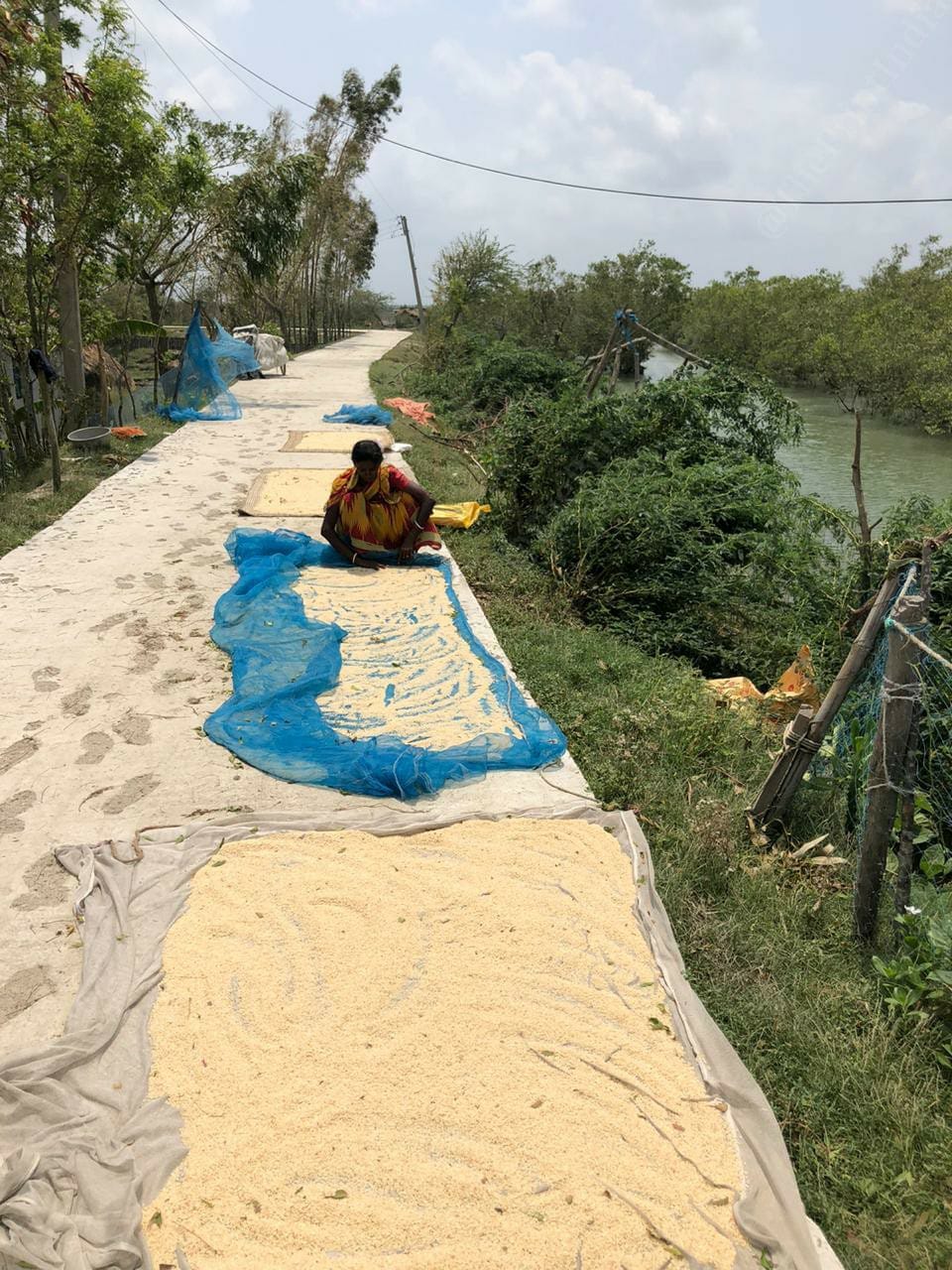 Due to the rains, all stocked grains were drenched, the women are trying to dry these stocked food | Photo: Madhuparna Das | ThePrint