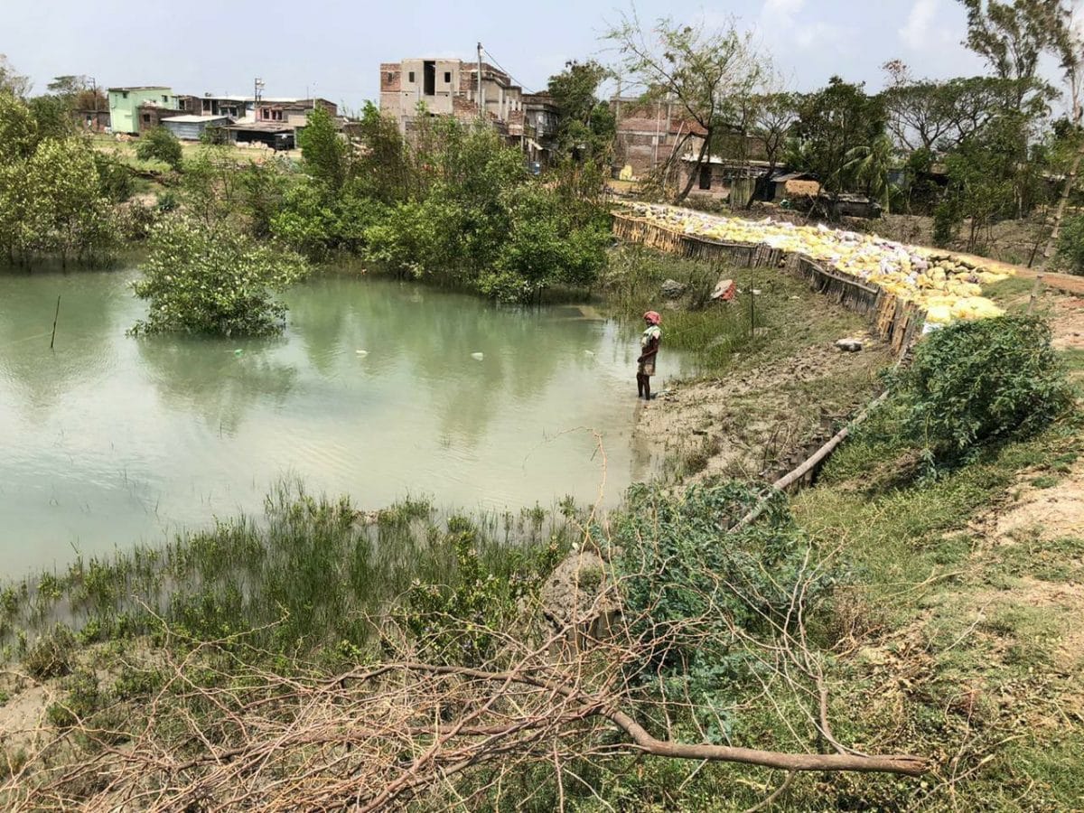 Villagers working on the breached embankment after Amphan | Photo: Manisha Mondal | ThePrint