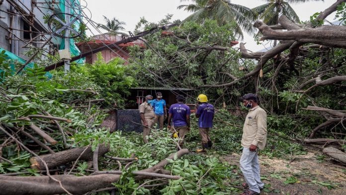 An uprooted tree fell on a power line during a storm in Coimbatore, Tamil Nadu, Sunday, as Cyclone Amphan gathers strength over the Bay of Bengal | PTI