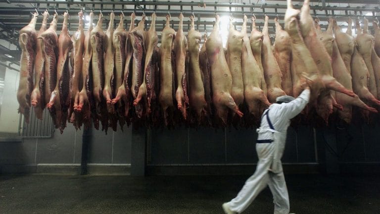 US sees Covid spread twice as fast in areas where major meatpacking plants have reopened