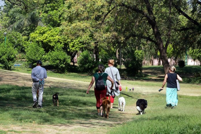 Workers at Nehru Park said that people started coming to the park after 3 May | Photo: Manisha Mondal | ThePrint