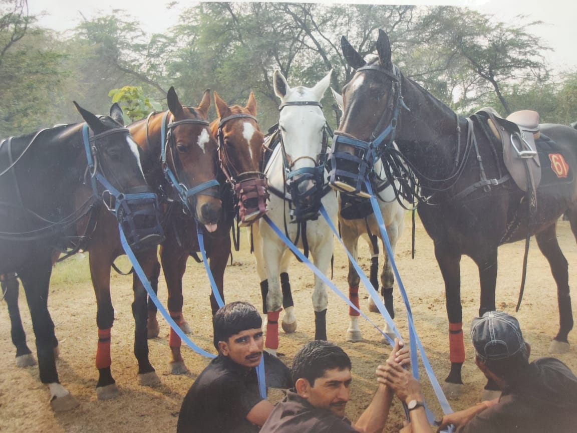 Some of the handsome steeds of the 61st cavalry | By special arrangement
