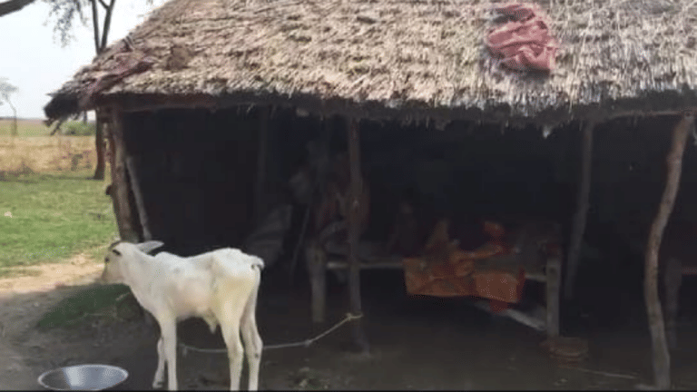 Delhi NCR’s colonies are different from Western cities. The poor are closer to you