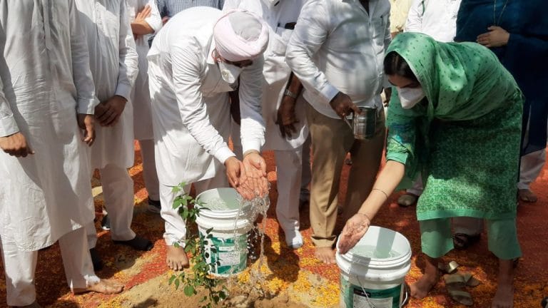 Manpreet Singh Badal: Why we planted a sheesham tree for my father Gurdas