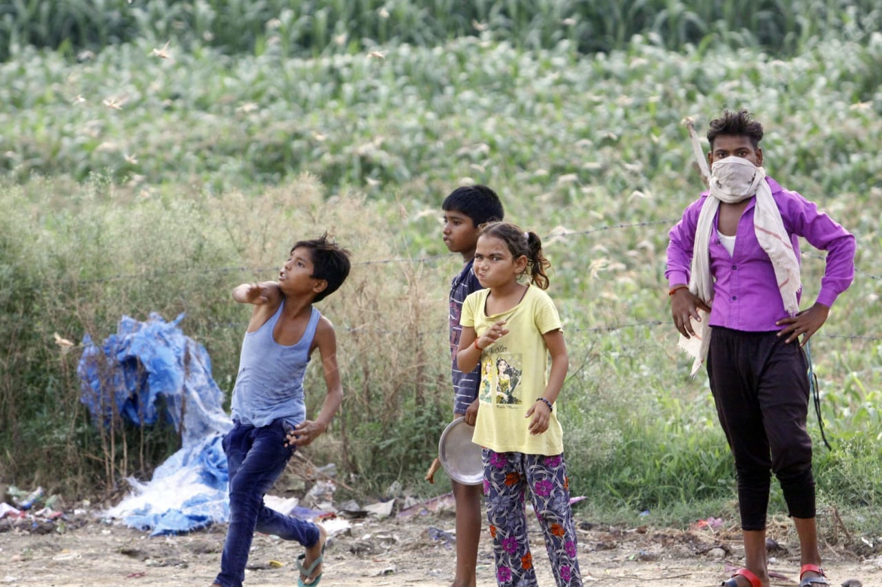 Children look on as a young boy tries chucking a stone at the locusts clouding over the field in Baghai village | Praveen Jain | ThePrint