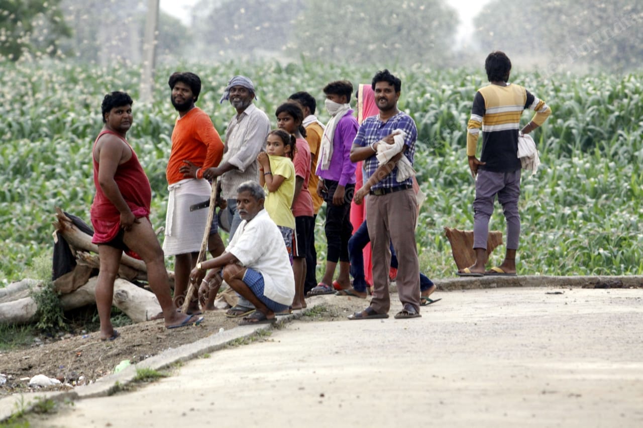 Farmers have been worried about the locusts feeding on their crops as it would destroy an entire season’s hard work, adding to their troubles during an already difficult time | Praveen Jain | ThePrint