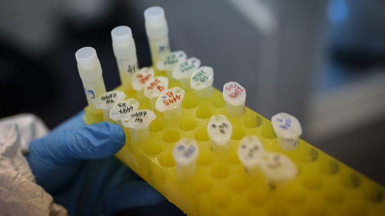 How a Chinese firm jumped to the front of the global Covid vaccine race