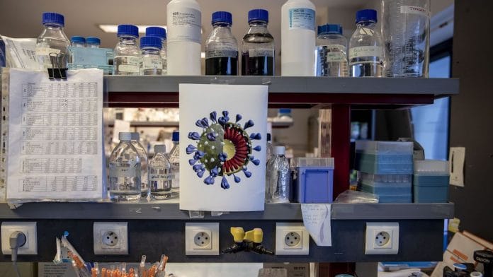 Representational image| A magnified coronavirus illustration in a lab inside the Pasteur Institute | Adrienne Surprenant/Bloomberg