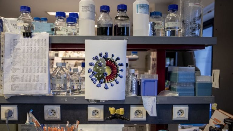 G614 – the coronavirus strain that will challenge vaccines