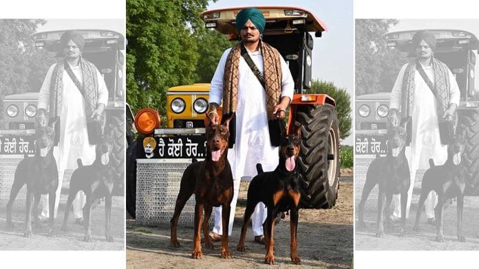 Punjabi rapper Sidhu Moosewala | Twitter | @SidhuMooseWala