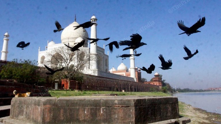 Taj Mahal, once a promising job opportunity, sees local business drying up and dying out