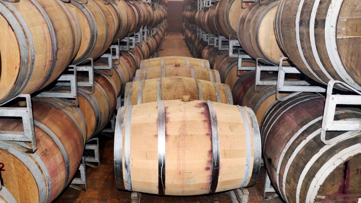 Oak barrels imported from the US and France at the Sula vineyard | Photo: Vasant Prabhu | ThePrint