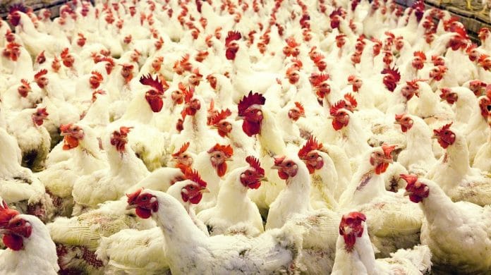 Representational image | RawPixel