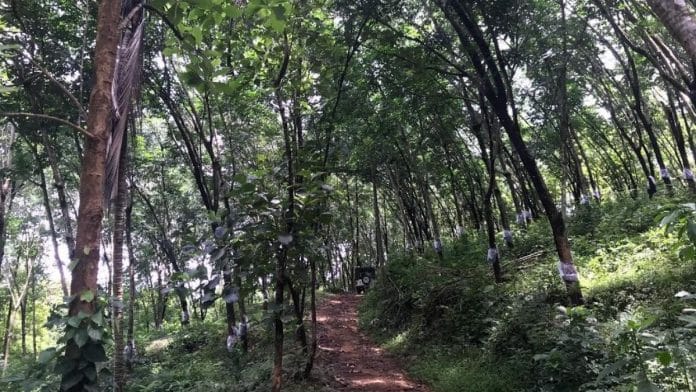 ‘Will give students what they get abroad’ — India plans tie-ups with top 100 universities