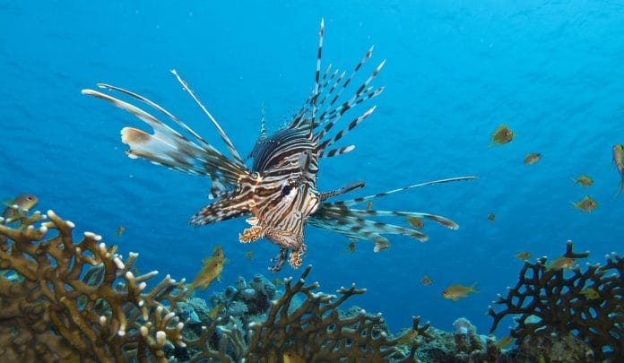 Representational image | Pixabay