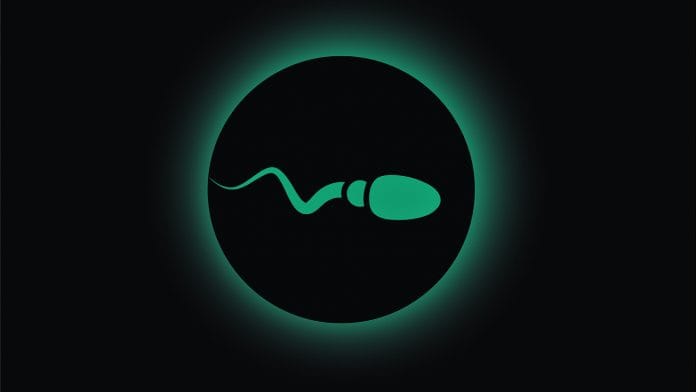 Representational Image | Pixapay