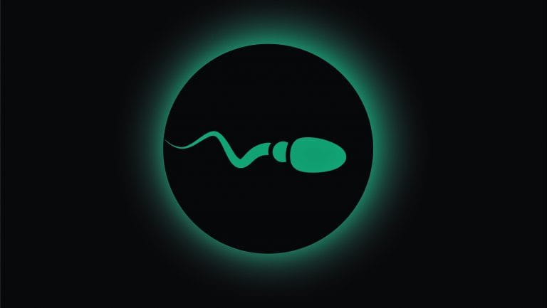 Sperms don’t swim — scientists have been wrong for the last 350 years