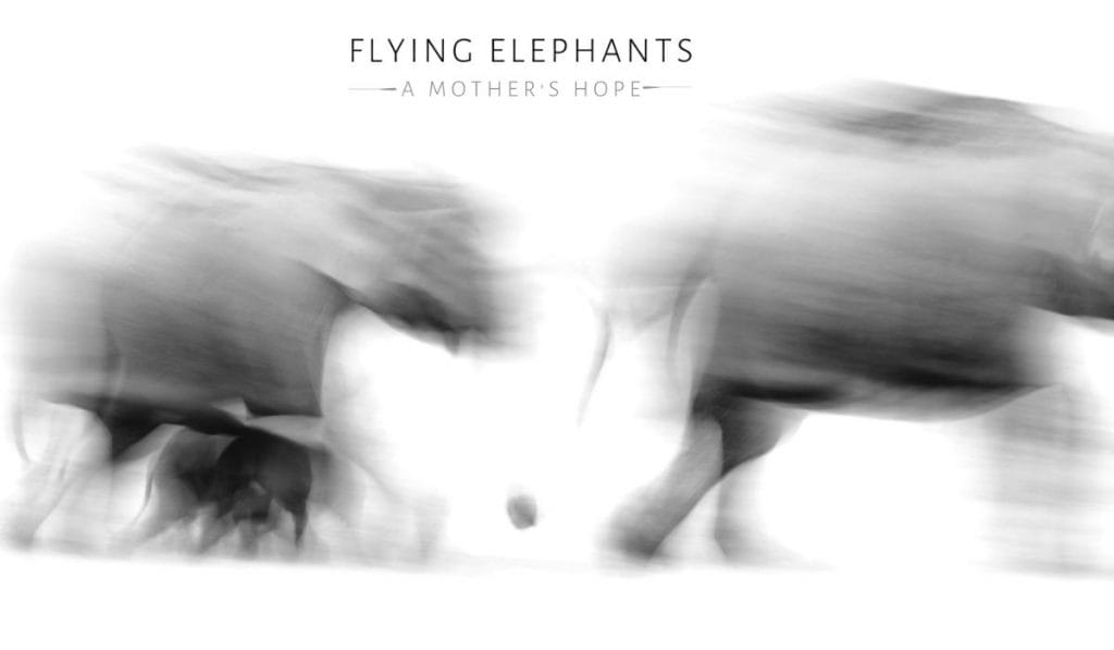 A poster for Flying Elephants – A Mother's Hope | By Special Arrangement