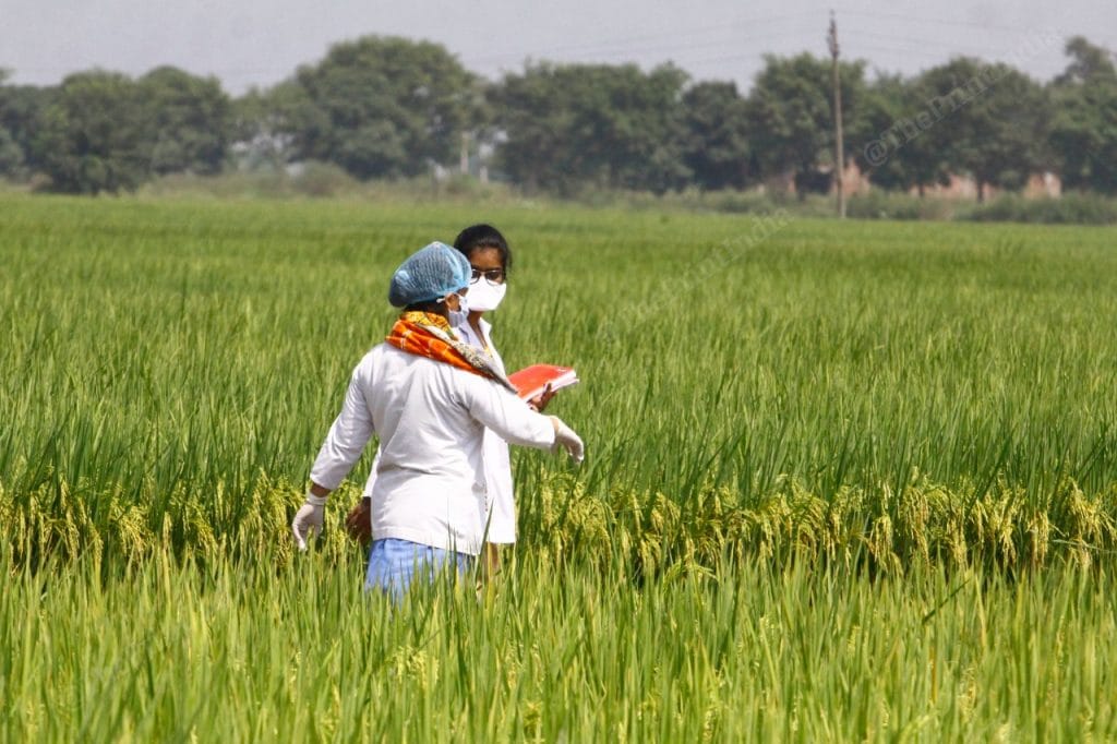Nurses prepare ahead of the test drive near a field in Punjab’s Sahnewal town | Praveen Jain | ThePrint