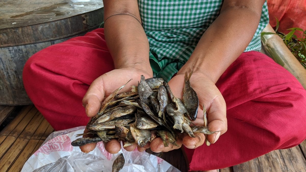 Since lockdown selling fishes has been difficult for these fisherfolks. Most of their catch are now either sun dried or smoked in order to sell them  | Yimkumla Longkumer | ThePrint