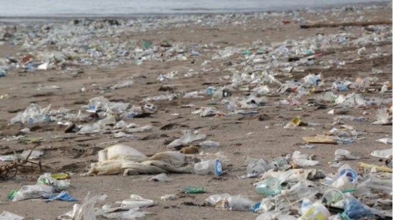 Your garbage can now make music. A Brazilian company shows the way