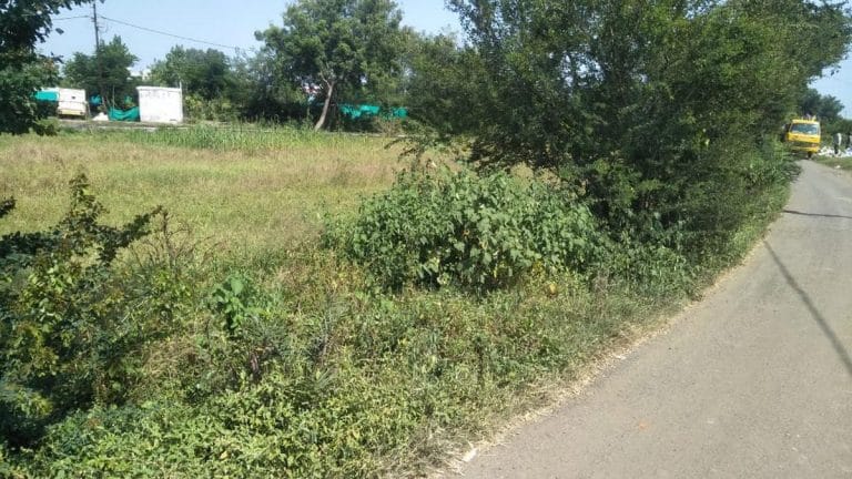 How a group of gritty women in Bhopal’s Misrod village freed a cemetery from encroachers