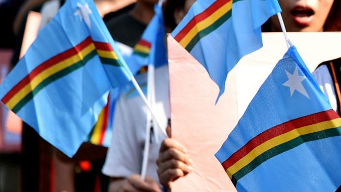 The Naga flag (representational image) | Photo: ANI