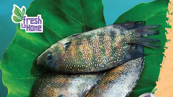 A freshtohome advertisement