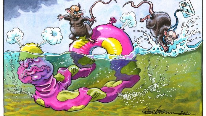 Dave Brown | The Independent