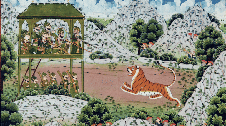 How East India Company introduced rewards for killing India’s ‘dangerous vermin’ tigers