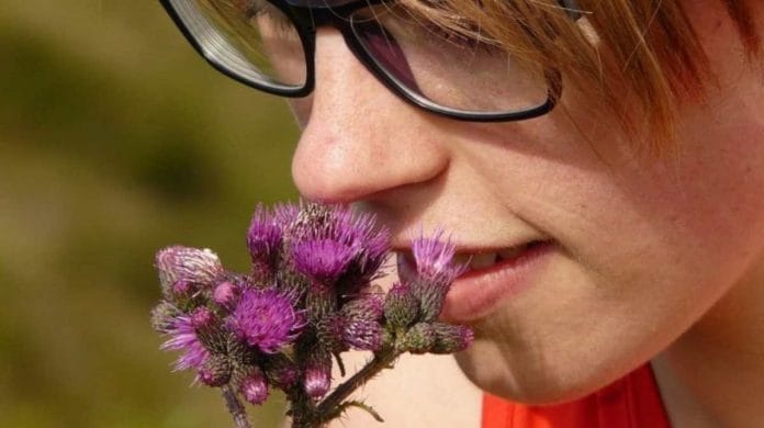 The project will use innovative AI algorithms to recreate and archive smells (representational image) | Pixabay