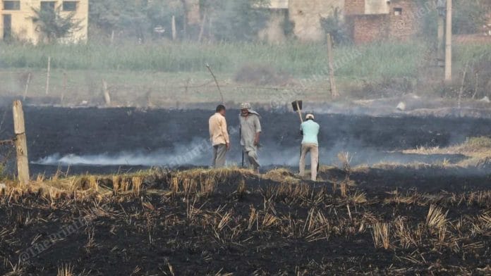 An agricultural field set on fire to burn stubble at Pasiana on Patiala-Sangrur Highway in Punjab | Suraj Singh Bisht | ThePrint