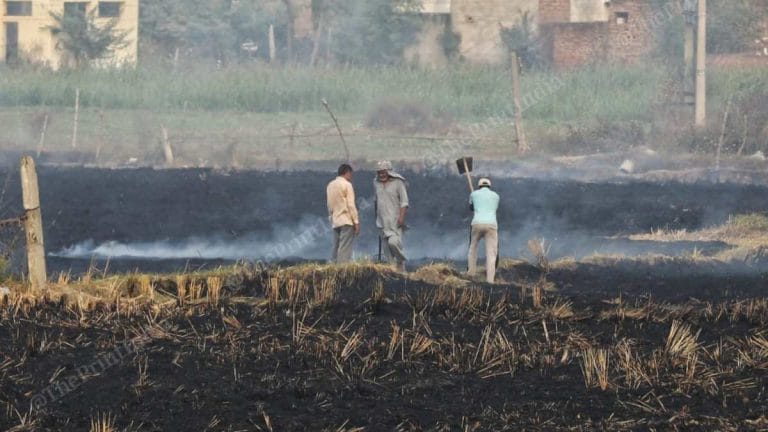 15,500-18,500 stubble fires predicted in Punjab, Haryana this winter, unless on-ground action ramps up