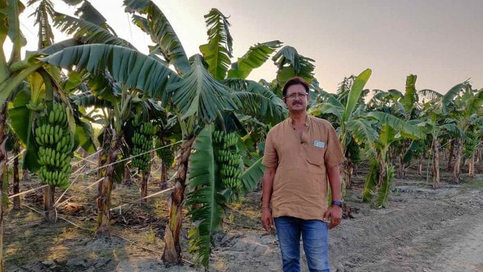 Sudhanshu Kumar used agricultural technology and the 2006 repeal of the APMC Act to make his orchards extremely profitable | Photo: DK Singh | ThePrint
