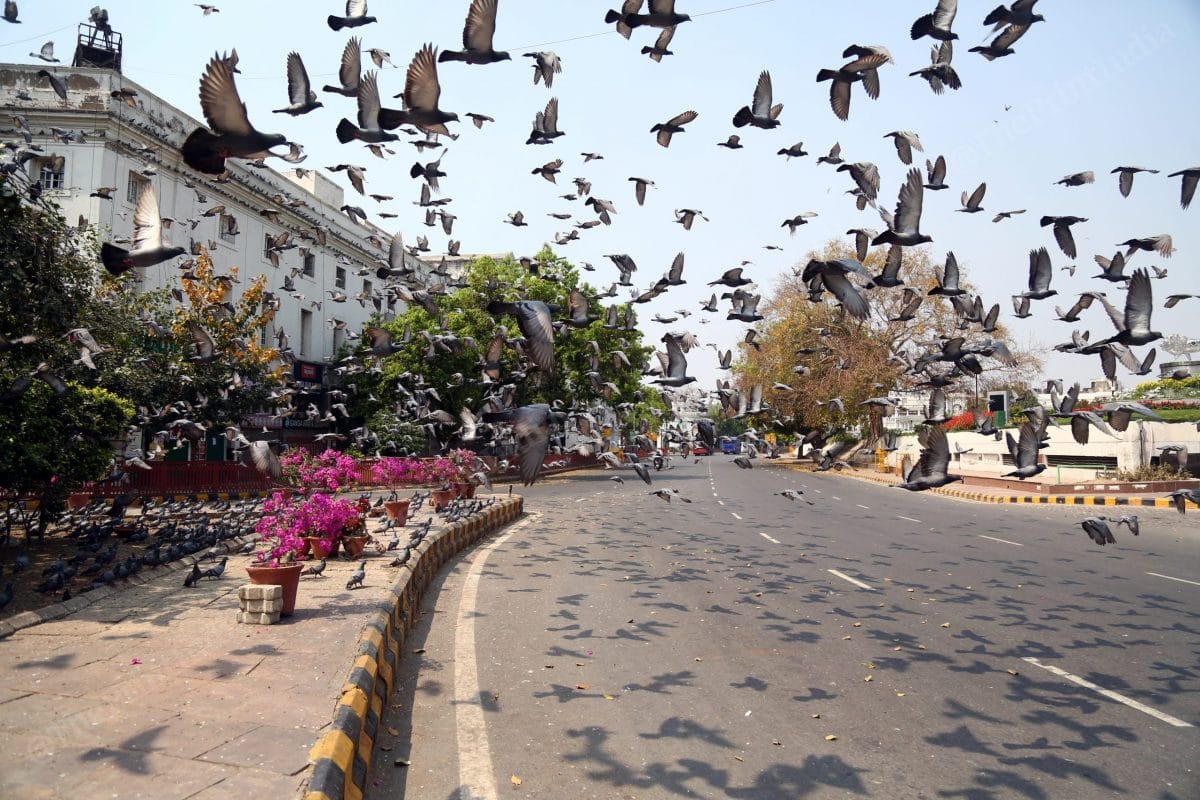 On 22 March PM Narendra Modi announced Janta Curfew (one day nationwide lockdown). A deserted view of the forever crowded Delhi's Connaught Place on a Sunday | Photo: Suraj Singh Bisht | ThePrint