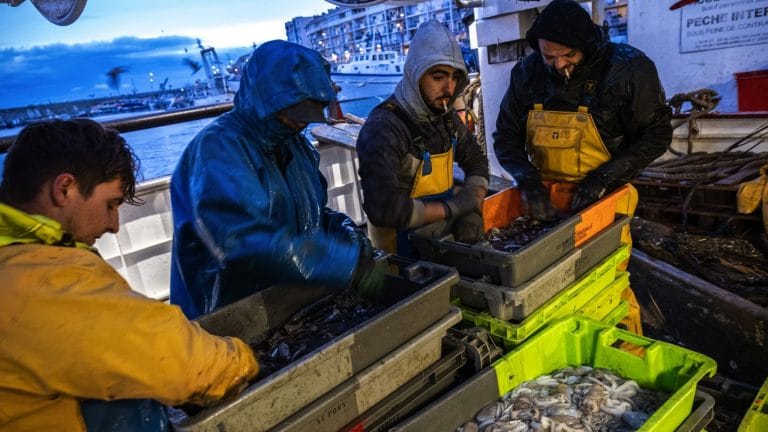 Germany warns of ‘painful cuts’ for fishing industry in Brexit deal