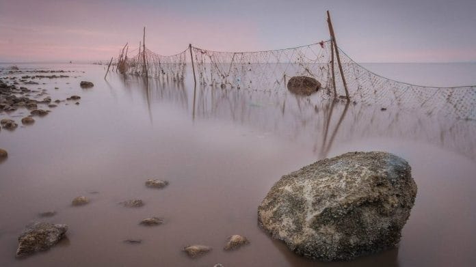 Fishing Net ( Representational Image) | Commons