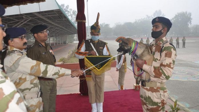 The ITBP K9 pups at the 'Naamkaran Ceremony' | ITBP