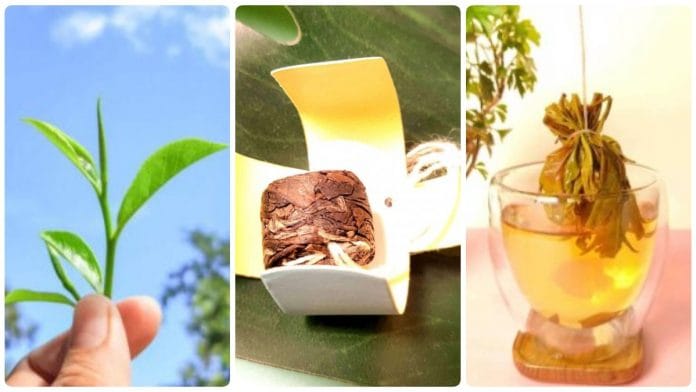 Image from Woolahtea.com