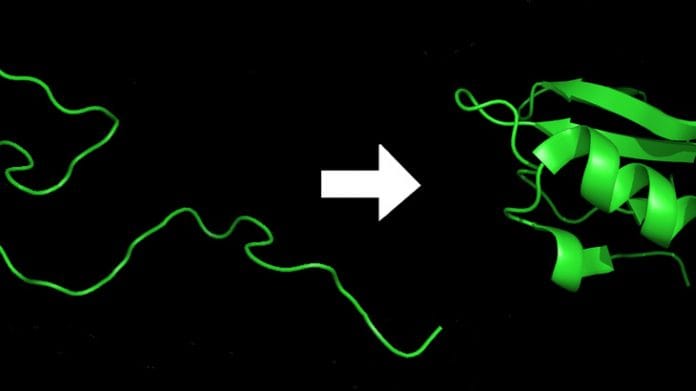 A simple chain of amino acids folds into a complex three-dimensional structure.